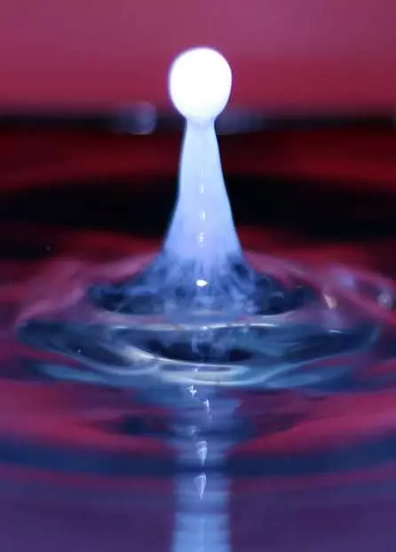 A drop of milk hitting the water